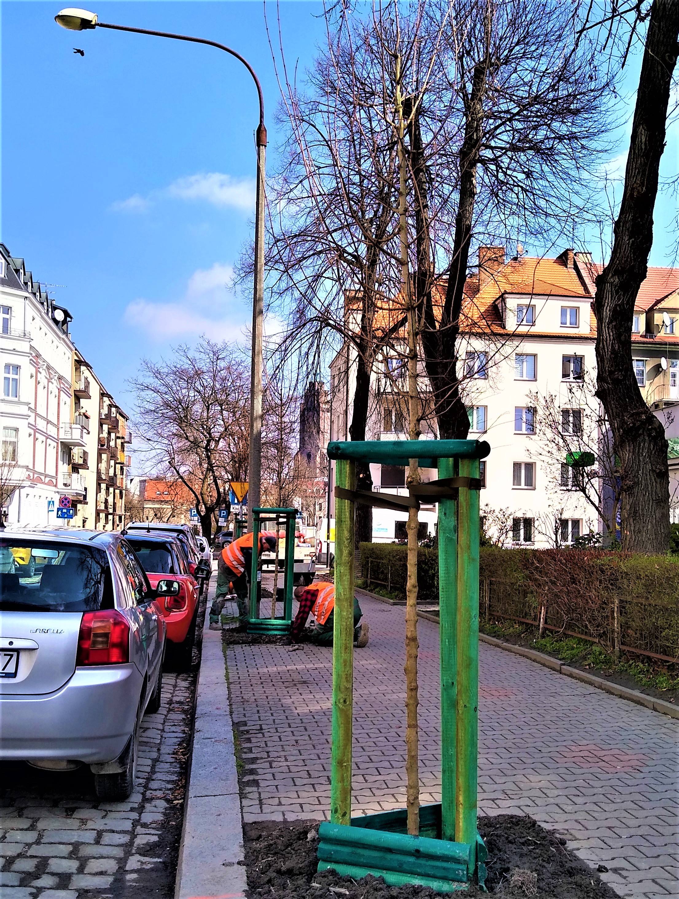 drzewo, obok ludzie