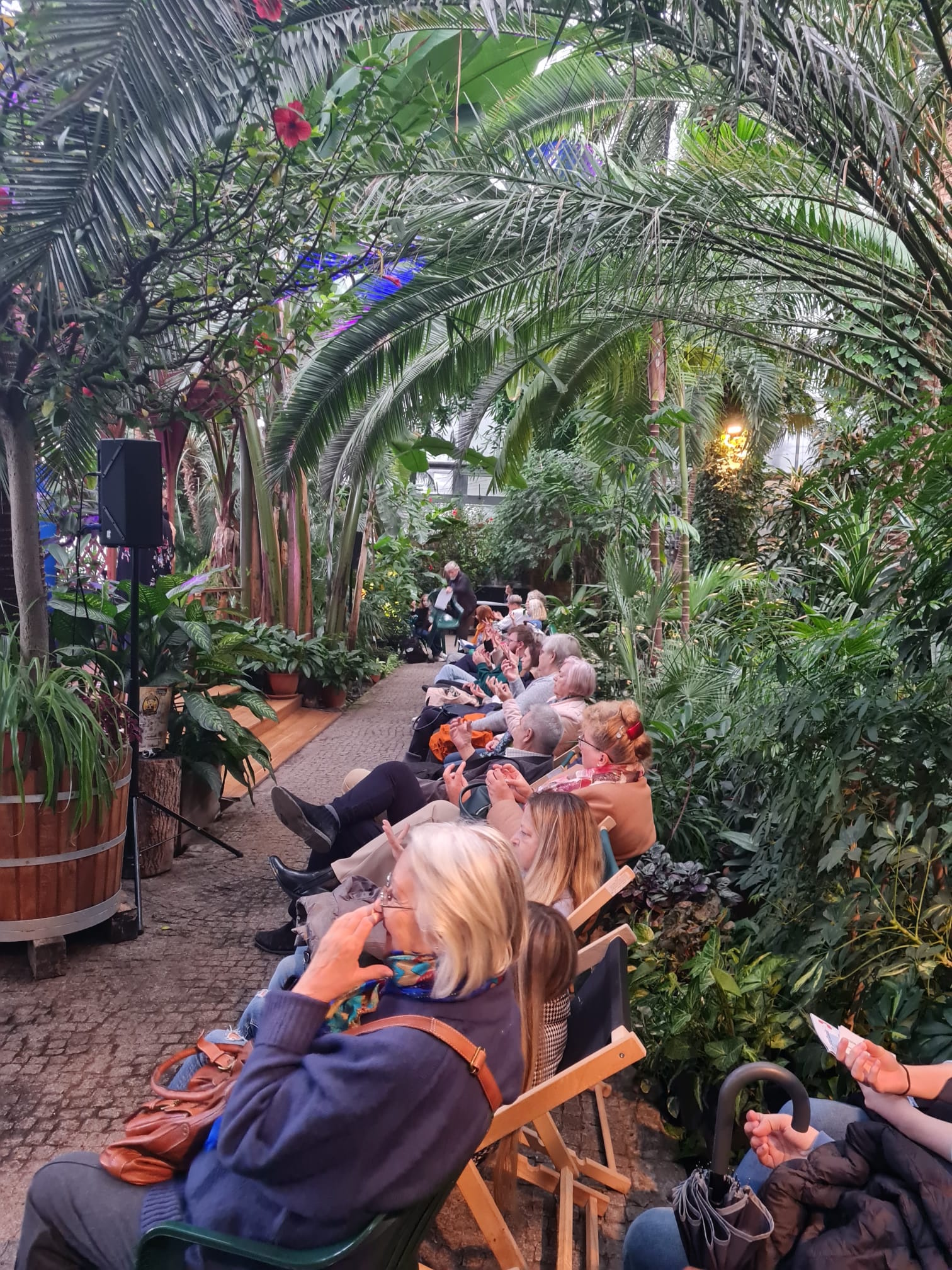 ludzie na leżakach w Palmiarni