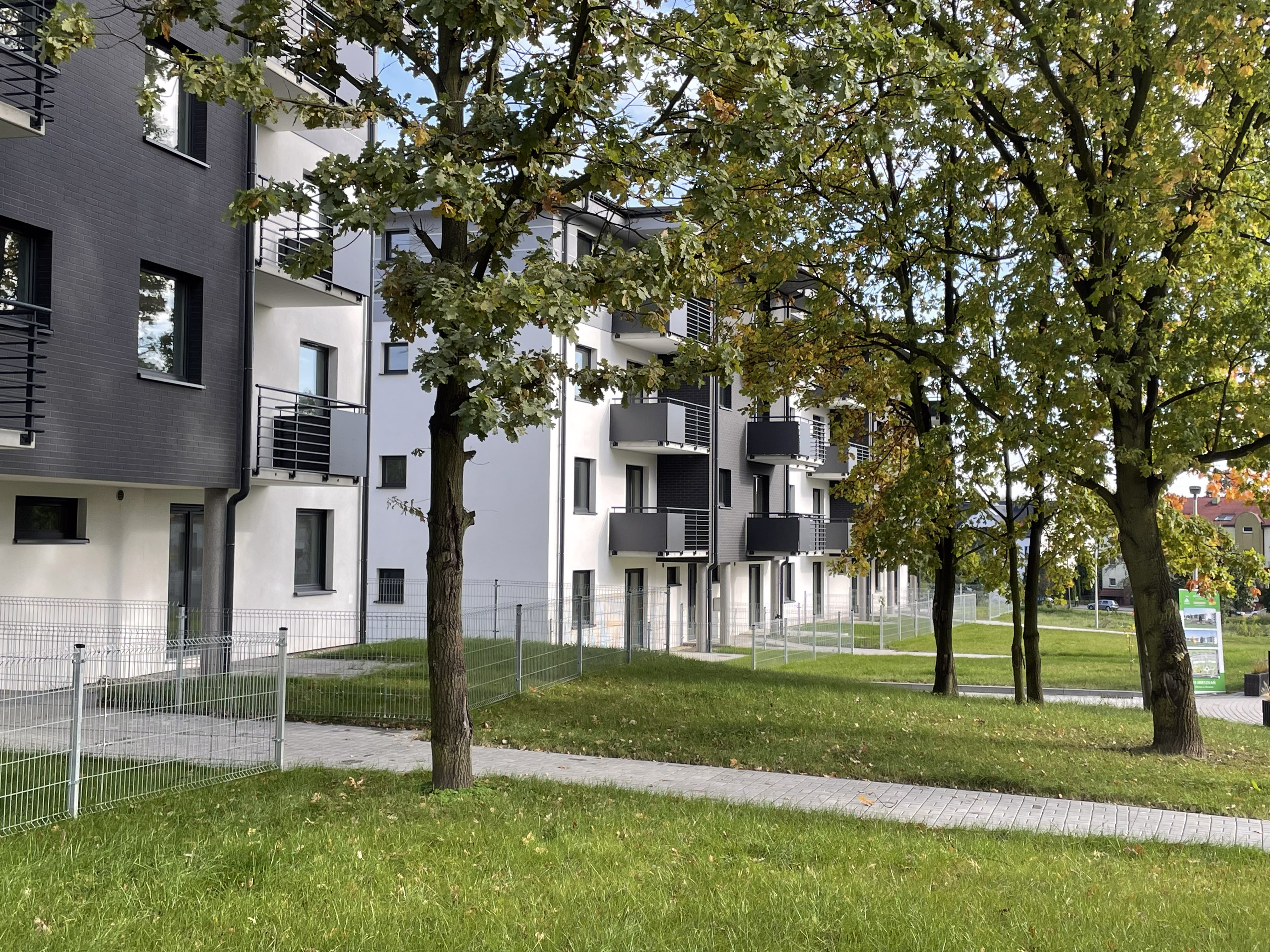fot. M. Buksa / UM Gliwice zbożowa