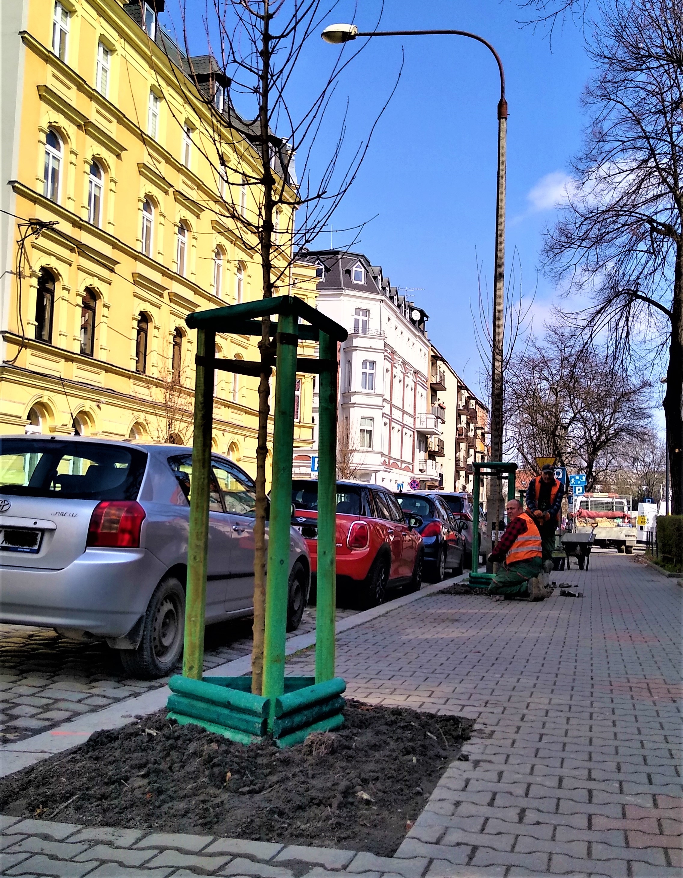 drzewo, auto, dom