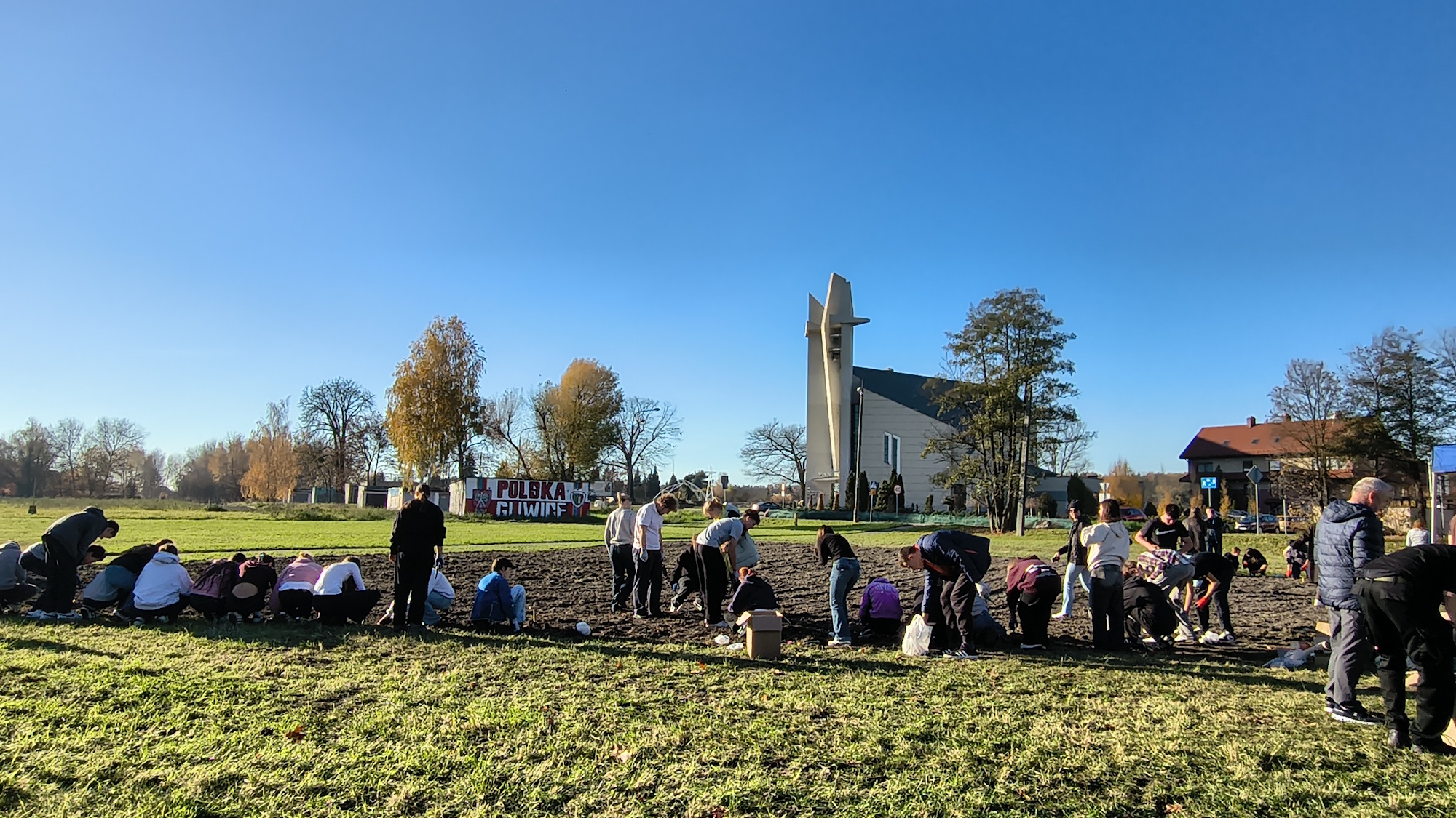 ludzie sadzą cebulki