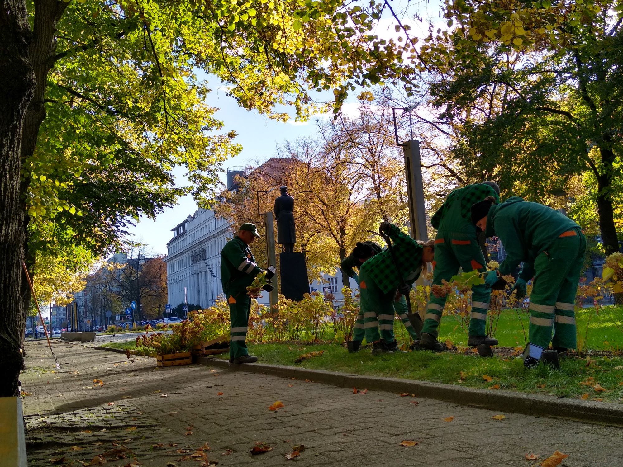 Więcej roślin na placu Piłsudskiego. Trwają nasadzenia Ponad 100 sztuk rozchodnika olbrzymiego zdobi plac Piłsudskiego. Nowy lokator na rabacie w centrum miasta w pełnej krasie zaprezentuje się latem – okazałe różowe kwiatostany będzie można podziwiać od sierpnia do października. Rozchodnik okazały to roślina wieloletnia o bardzo małych wymaganiach zarówno pod względem stanowiska, jak i podłoża. Pięknie natomiast kwitnie i cieszy oko od późnego lata do jesieni. Pracownicy Miejskiego Zarządu Usług Komunalnych obsadzą gliwickie rabaty w sumie 1800 bylinami, m.in. bodziszkami korzeniastymi, liliowcami, rozplenicami japońskimi, funkiami, miskantami, żurawkami i macierzankami piaskowymi. Ozdobią m.in.: park Staromiejski w Starych Gliwicach, skwer Neptun w Sośnicy, ul. Kosmonautów na Koperniku, skwer Bottrop, pl. Mickiewicza i pl. Piłsudskiego oraz ul. Wybrzeże Armii Krajowej w Śródmieściu. Będą też nasadzenia drzew – tej jesieni w mieście pojawi się ich ponad tysiąc. Ozdobią m.in.: pl. Grunwaldzki oraz dzielnic nowe rośliny na placu Piłsudskiego