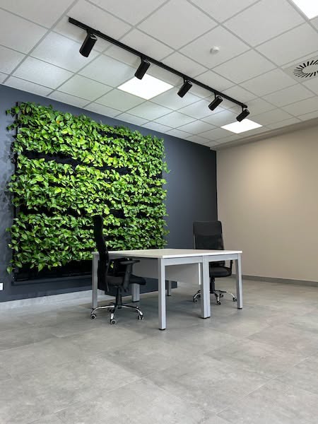 Nowy budynek IT Hub Gliwice otwiera przestrzeń dla firm technologicznych