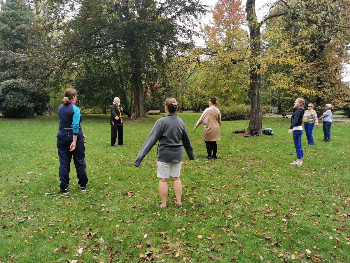 Fot. M. Lipiec/ UM w Gliwicach Praktyka Tai Chi w parku Chopina