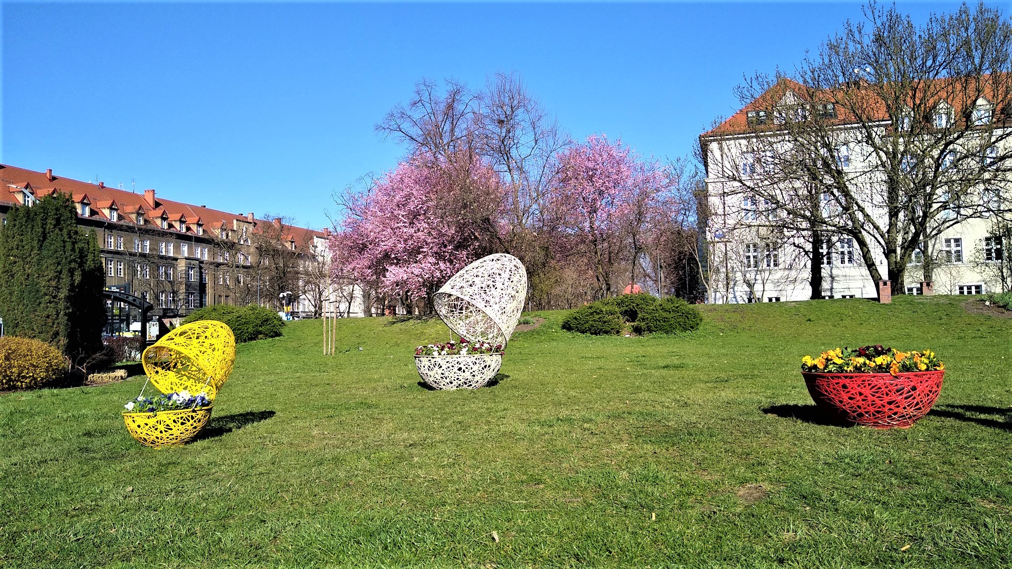 pisanki na tle kwitnących drzew