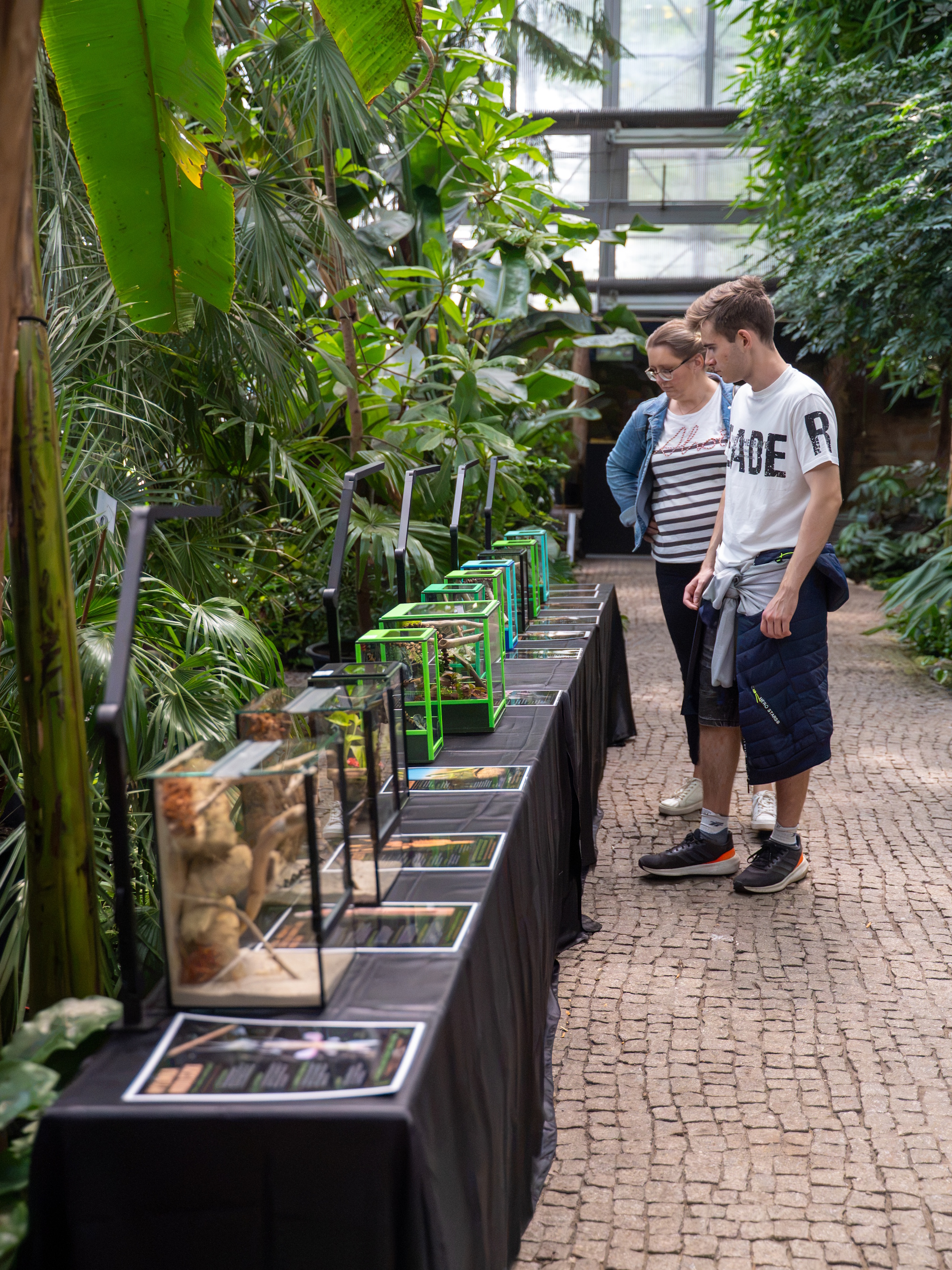 kobieta patrzy na terrarium