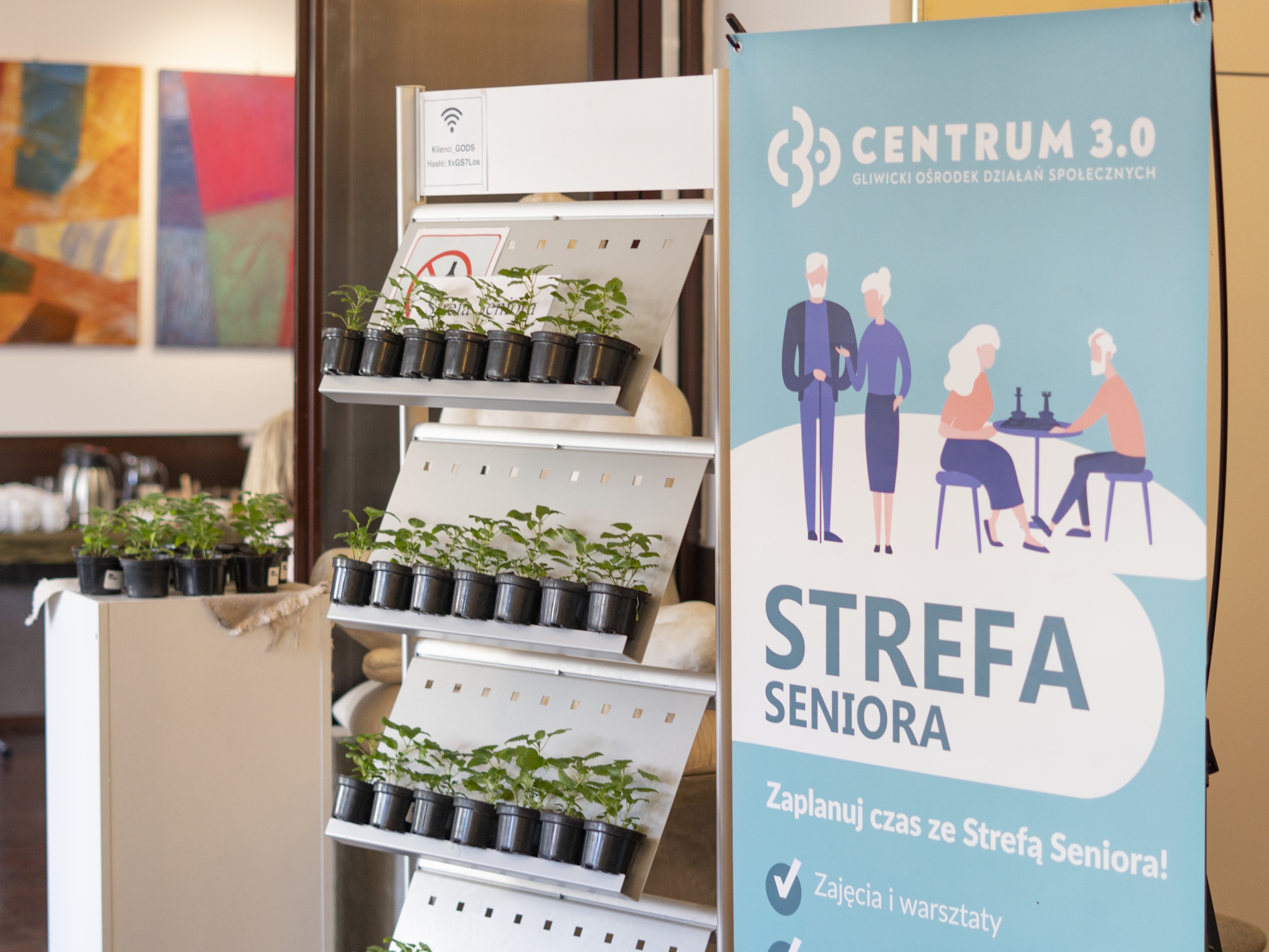 Sadzonki i baner Strefy Seniora