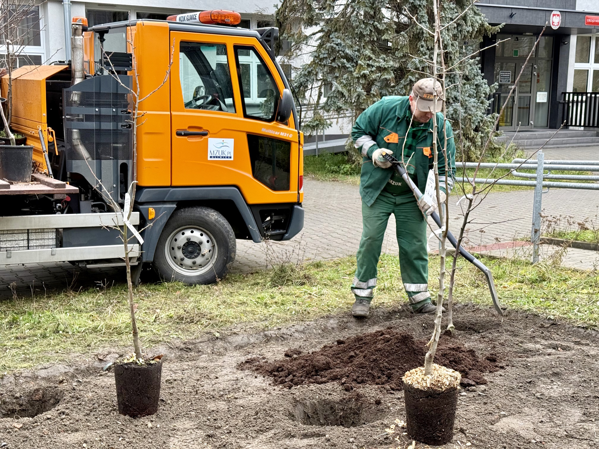 człowiek sadzi drzewo