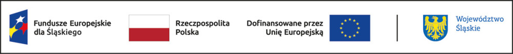 Mat. graf. organizatora Pasek z logotypami