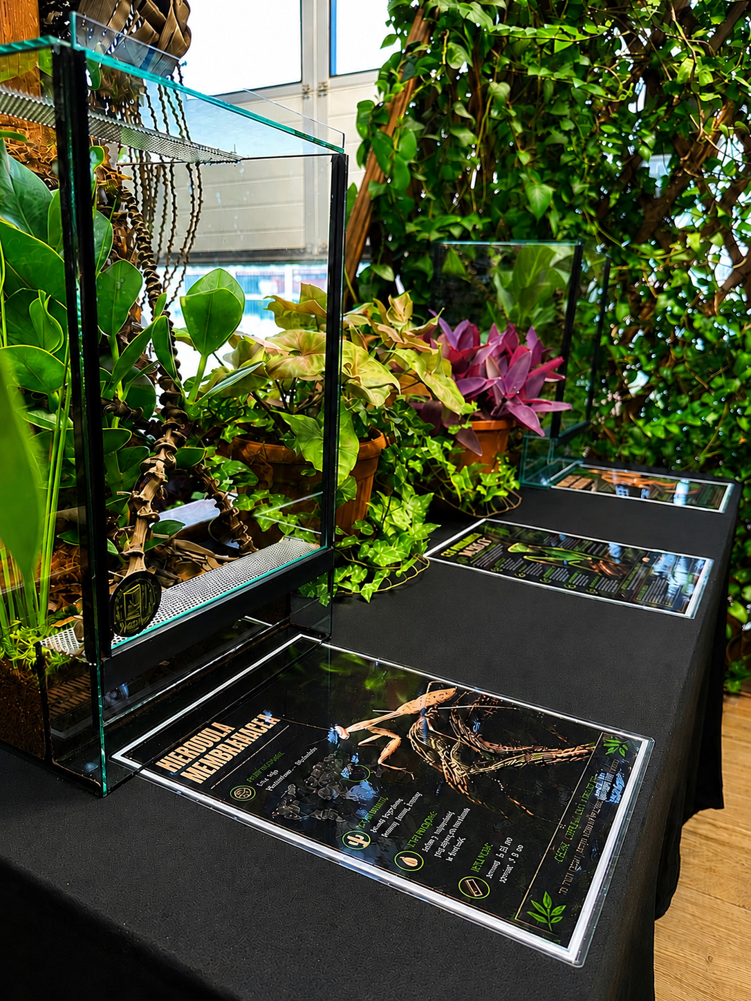 terrarium