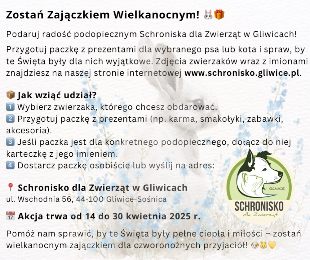 grafika