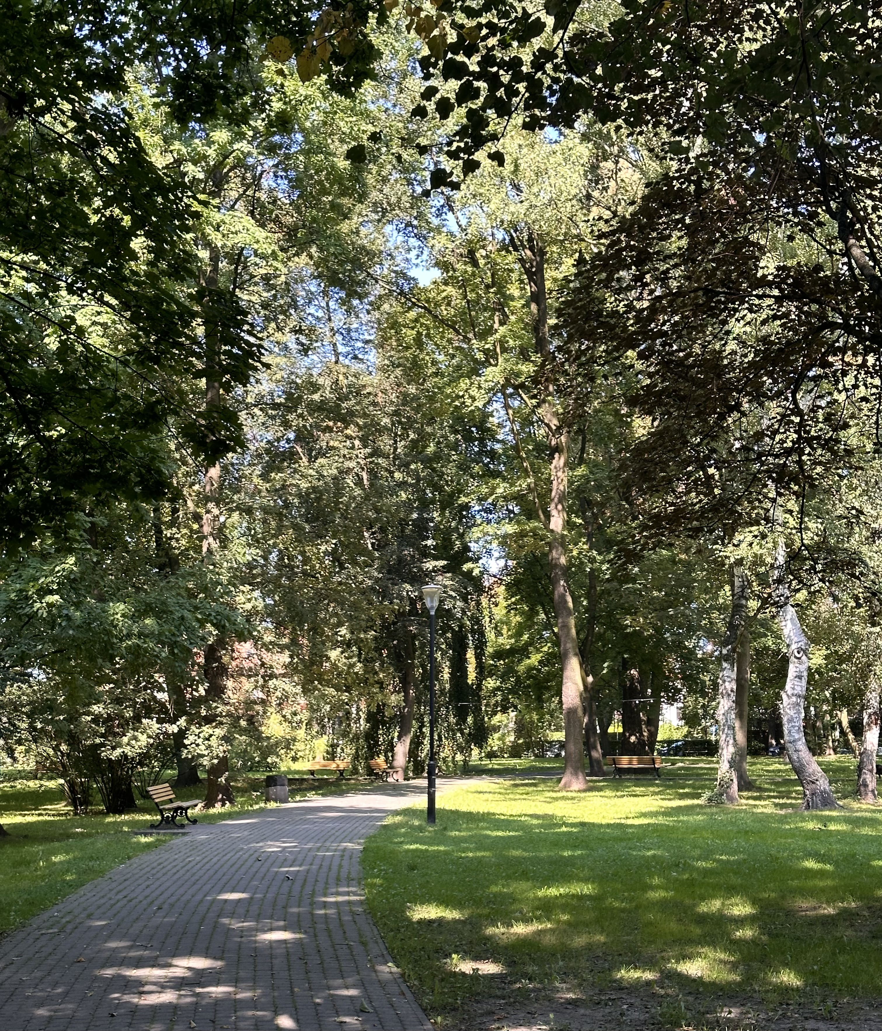 Park jest chętnie odwiedzany przez gliwiczan / fot. UM Gliwice Zdjęcie parku Grunwaldzkiego