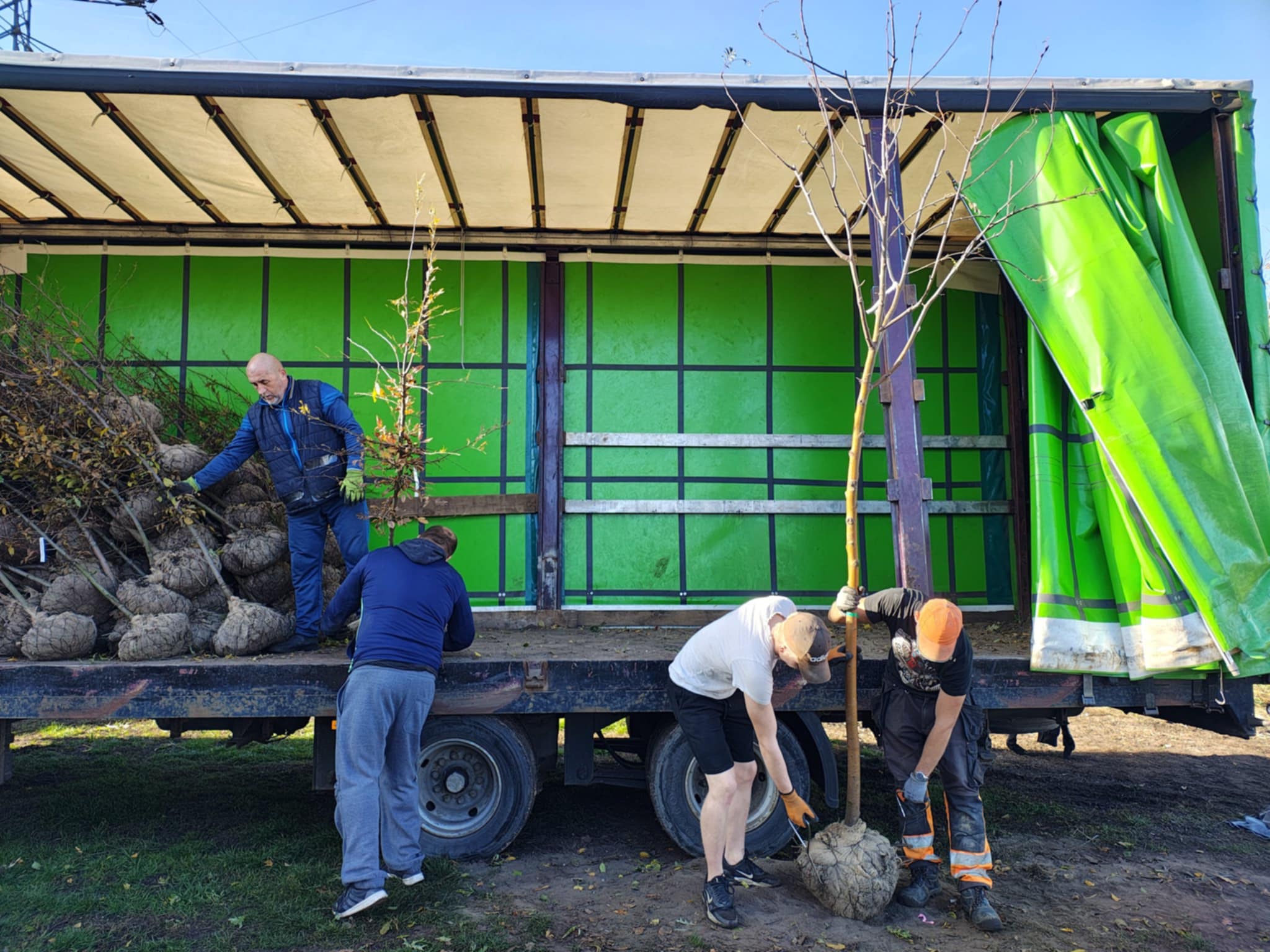 Fot. materiały MZUK w Gliwicach panowie rozładowują dostawę sadzonek