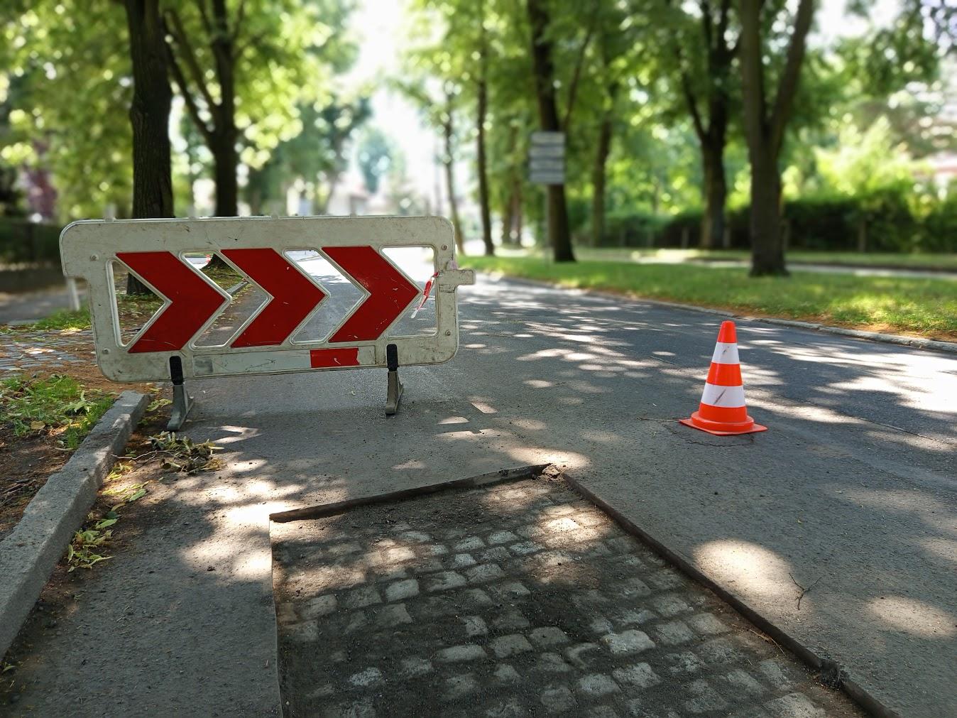 ulica, zielen, drzewa