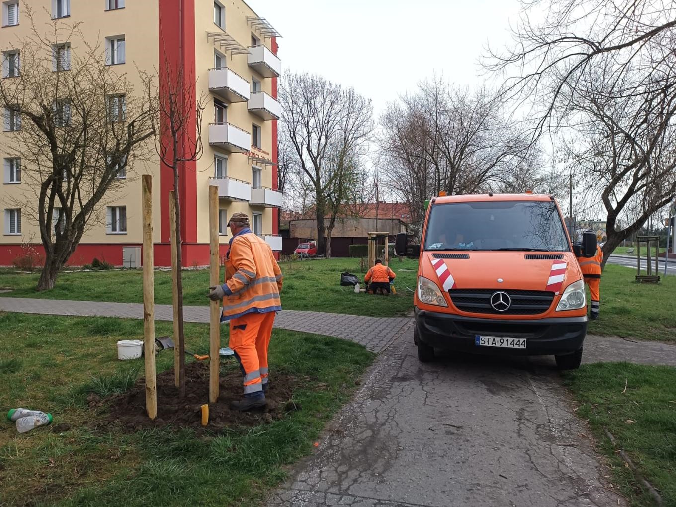 człowiek na trawniku przy samochodzie i drzewie