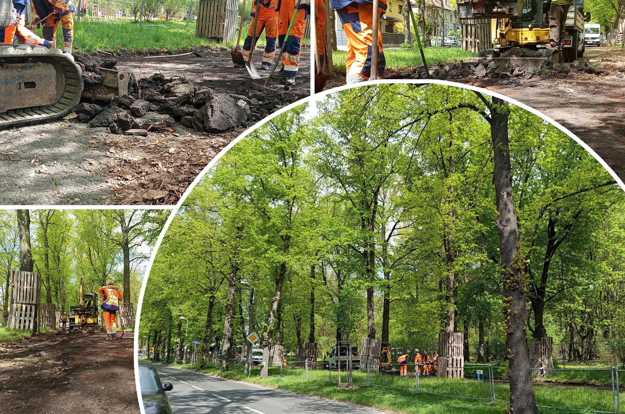 kolaż zdjęć z prac prowadzonych na alei przy ul. Mickiewicza
