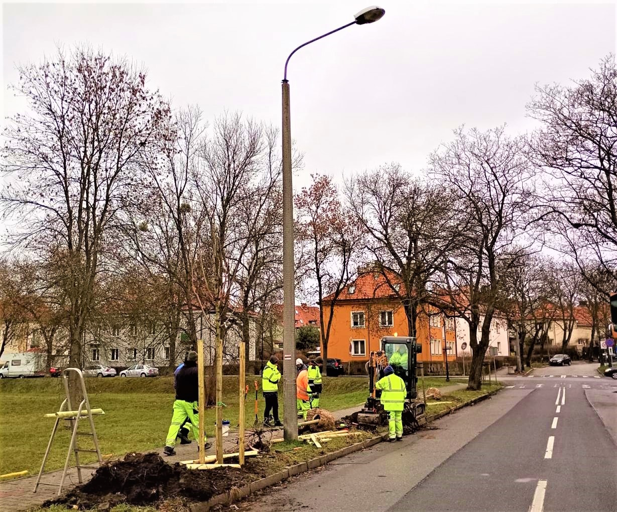 pracownicy zieleni nasadzają drzewa